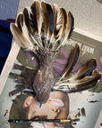 Feathered Finds | Sculpture | Year 7