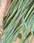 jessica-watts-fine-art-print-flowers-bird