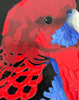 Noisy Boyz Baz (23cm)