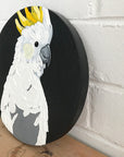 Noisy Boyz Johnno (23cm)