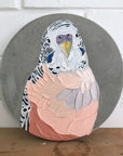 Pretty Boy Roz (23cm)