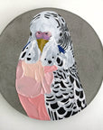 Pretty Boy Josephine (23cm)