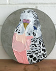 Pretty Boy Josephine (23cm)