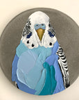 Pretty Boy Scott (23cm)