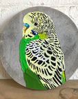Pretty Boy 35 (Harold) - Jessica Watts Art