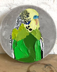 Pretty Boy 36 (Hank) - Jessica Watts Art