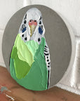 Pretty Boy Susan (14cm)