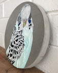 Pretty Boy Thelma (23cm)