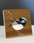 Superb Fairy Wren 4