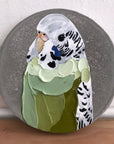 Pretty Boy Colleen (14cm)