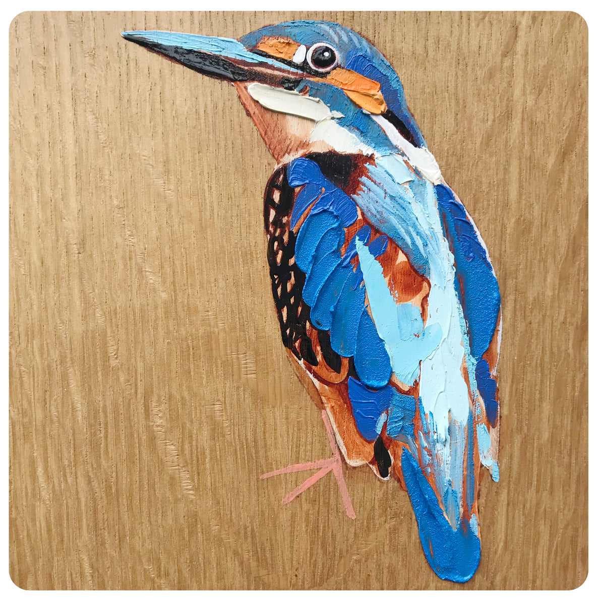 Kingfisher 2