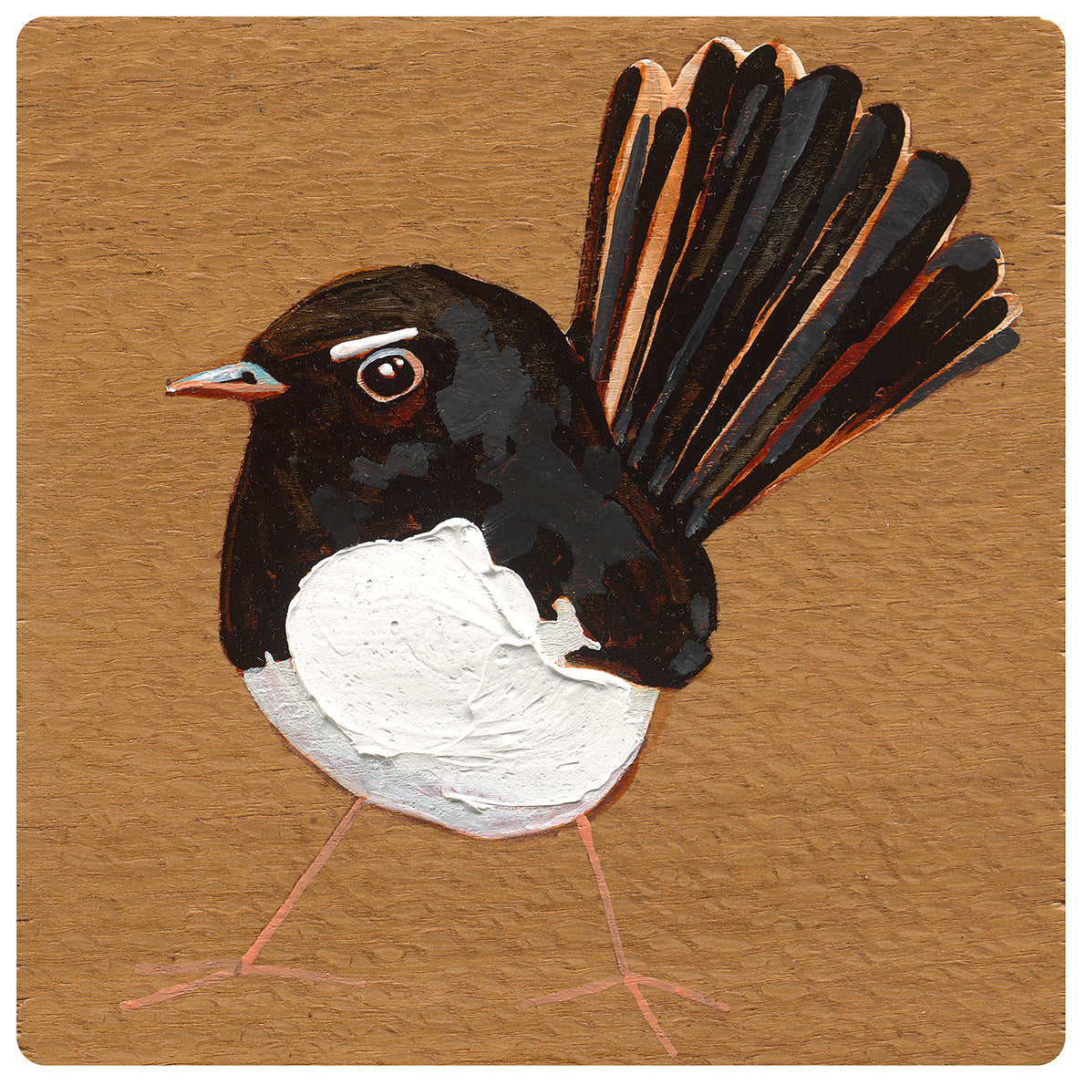 Willy Wagtail 2