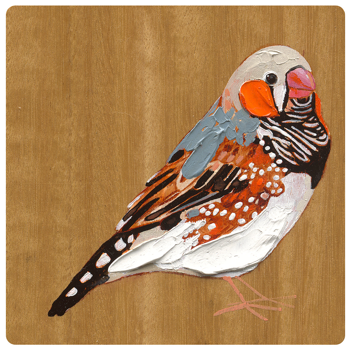 Zebra Finch 3