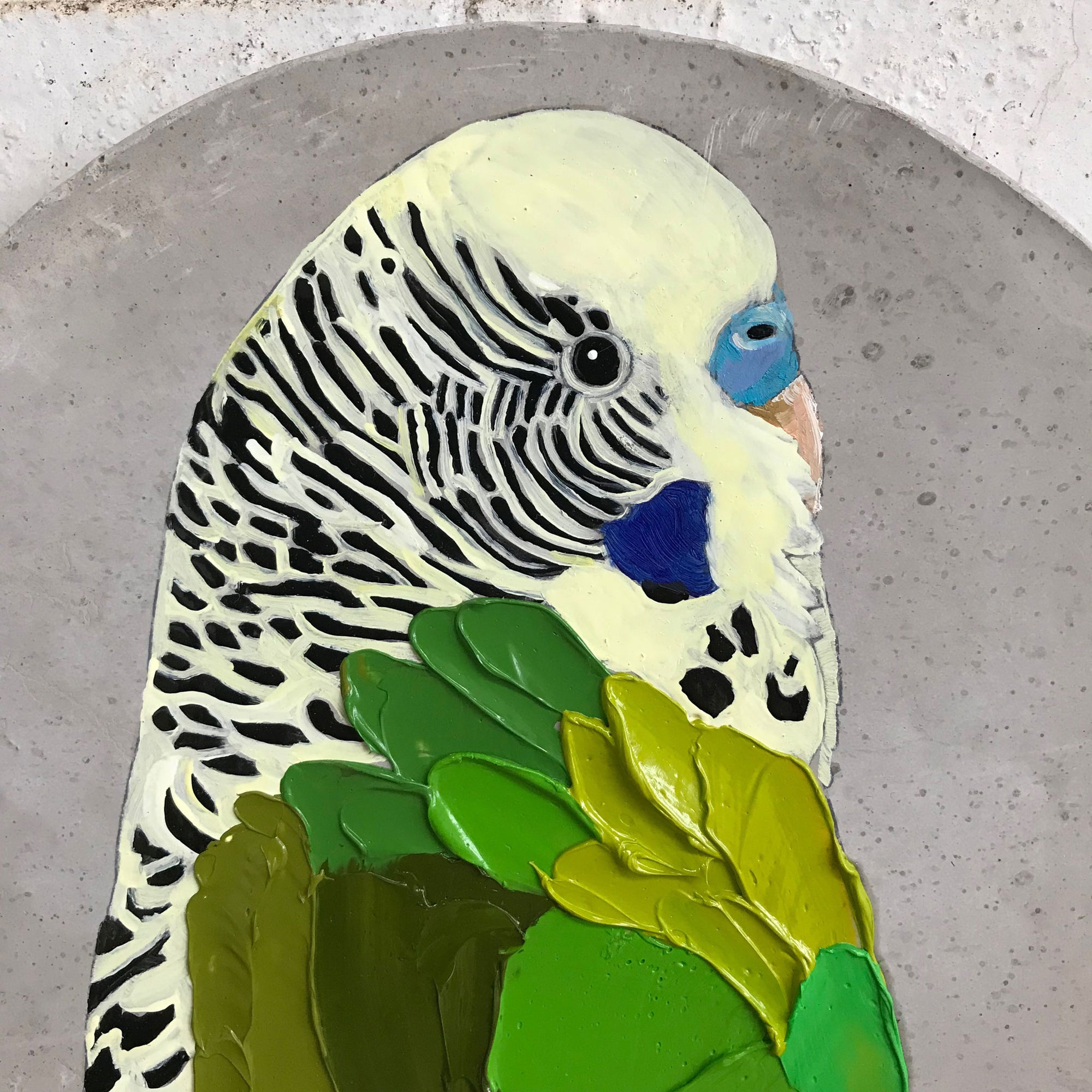 Pretty Boy 47 (Merle) - Jessica Watts Art