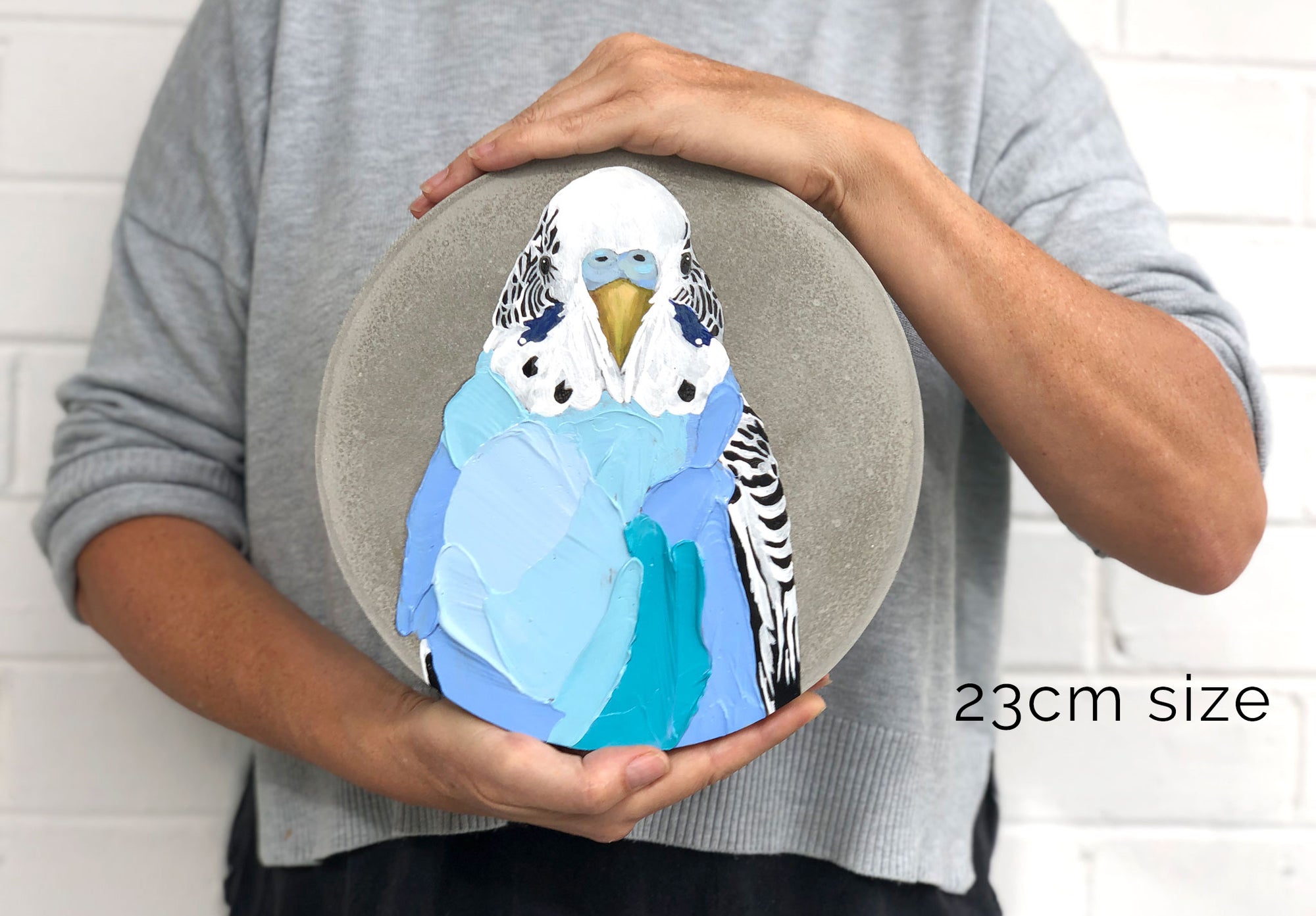 Pretty Boy François (23cm)