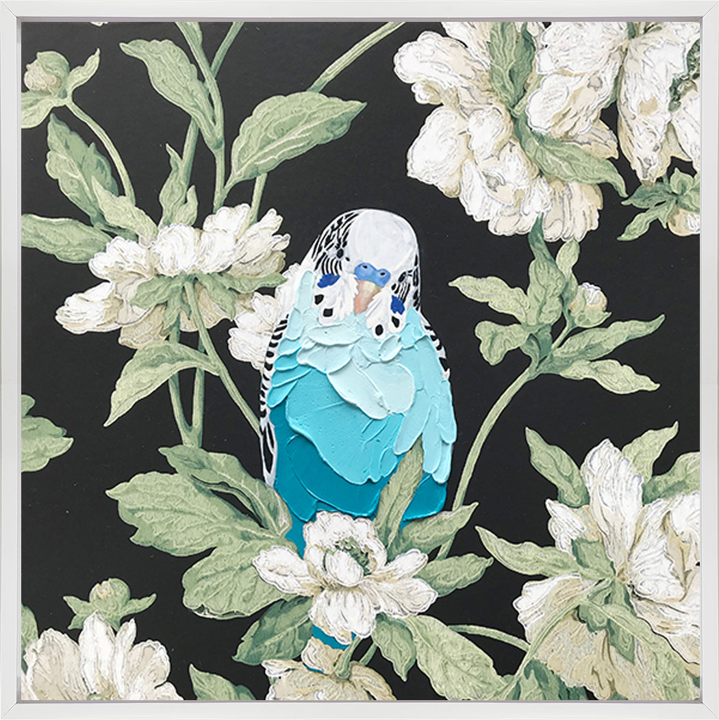 Wild Boy Beau - Framed Original - 45cm x 45cm