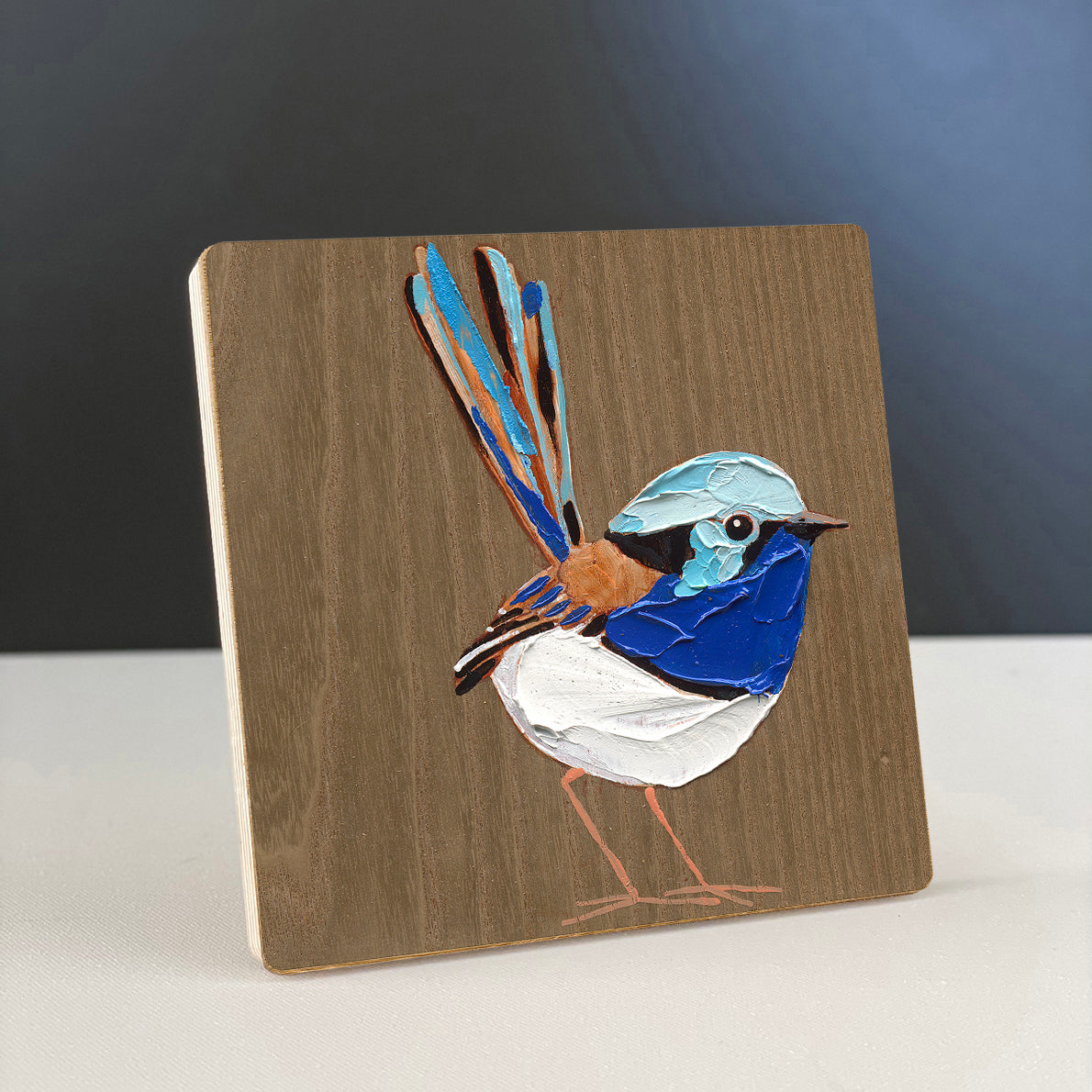 Superb Fairy Wren 5