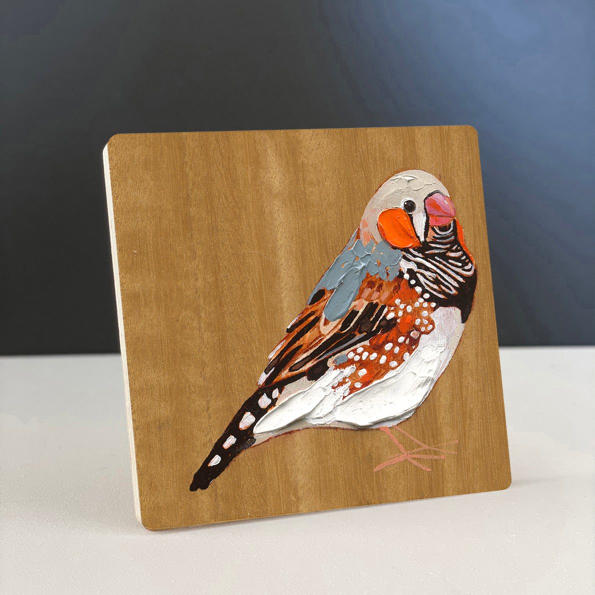 Zebra Finch 3