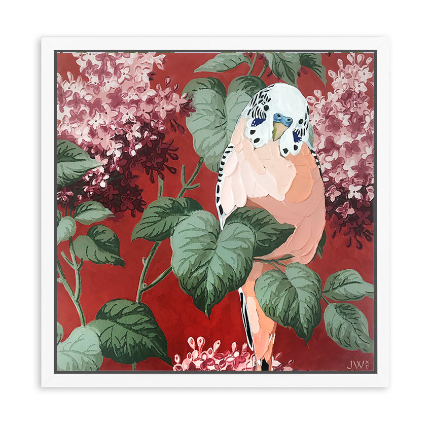 Wild Boy César - Framed Original - 30cm x 30cm