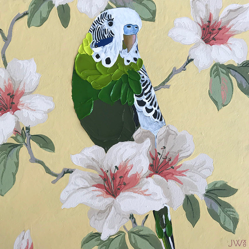 Wild Boy Ignacio - Framed Original - 30cm x 30cm
