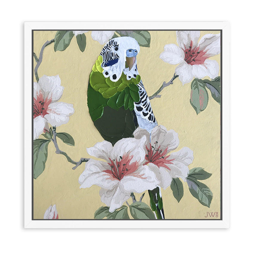 Wild Boy Ignacio - Framed Original - 30cm x 30cm