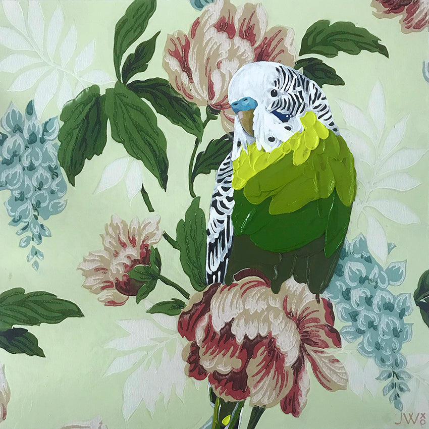 Wild Boy Jose - Framed Original - 30cm x 30cm