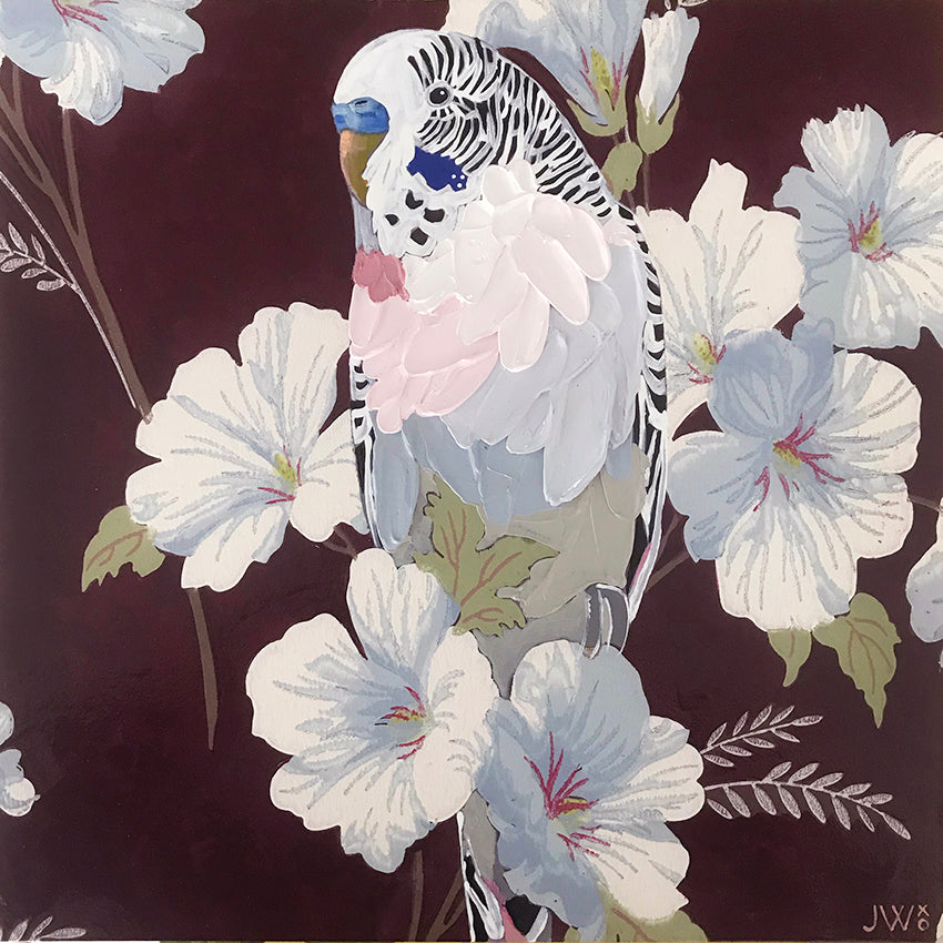 Wild Boy Juan Pablo - Framed Original - 30cm x 30cm